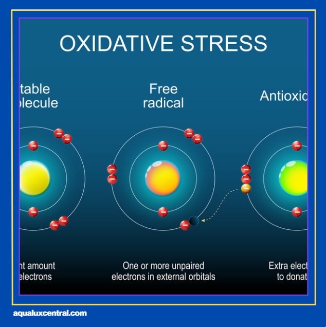 aqualux water purifier