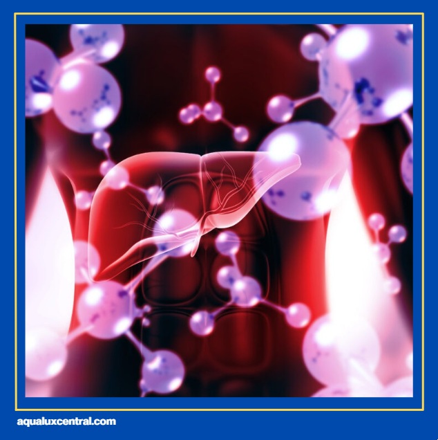 aqualux water purifier